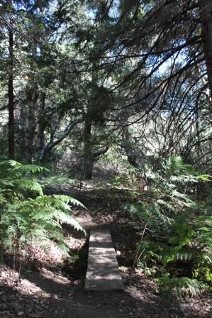 Watershed Trail at VMF's Volcan Mountain Nature Center