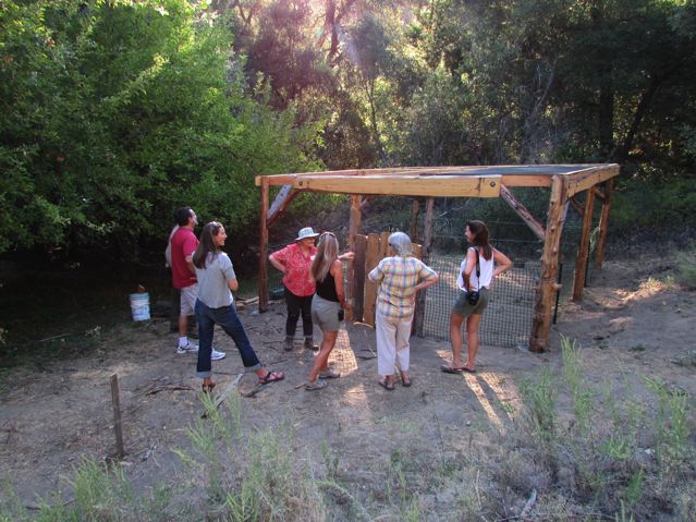 Native Plant Nursery- photo by Jeff Holt