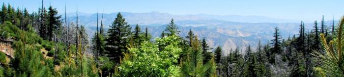 View east from Tauber Ridge; photo by Jeff Holt